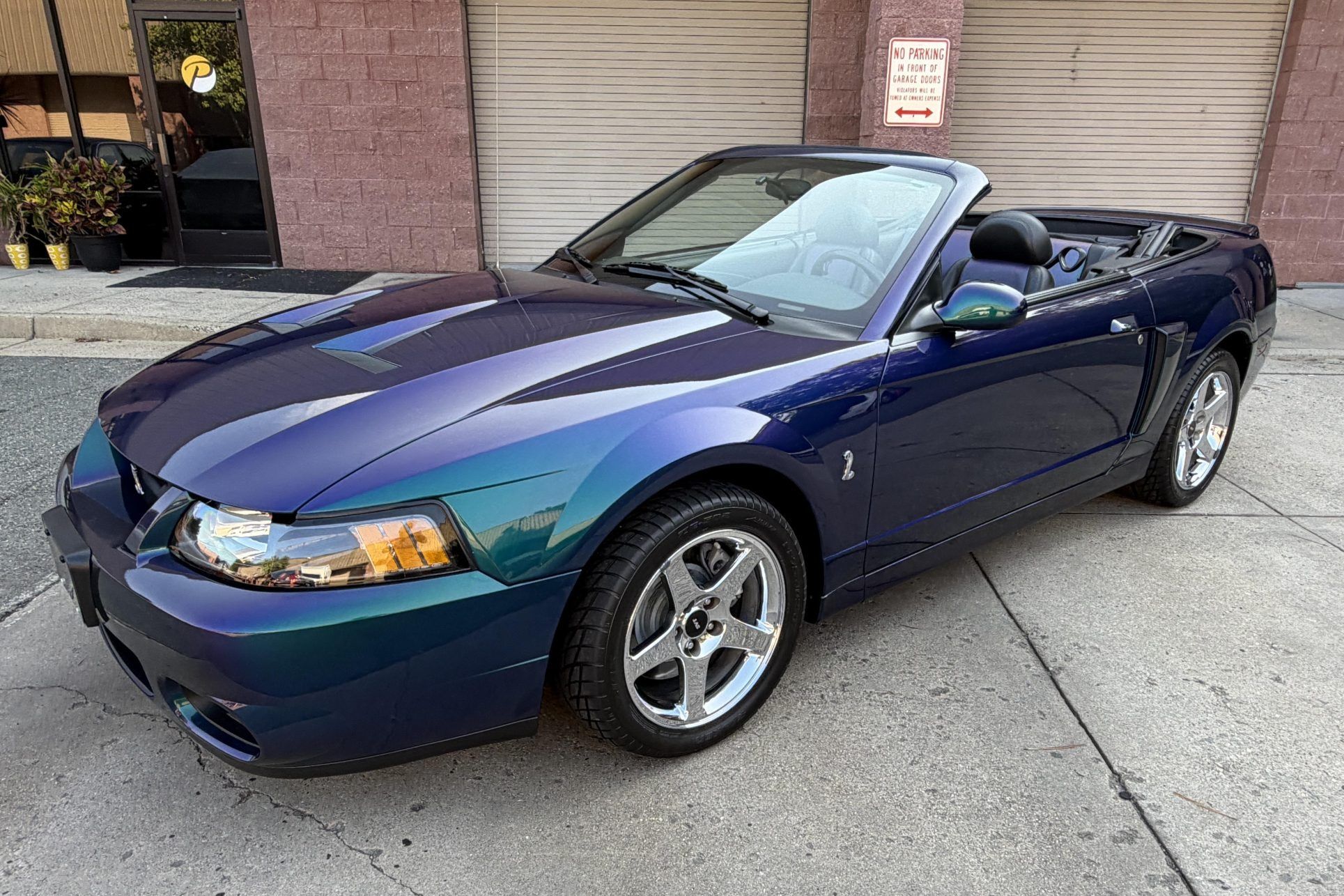 2004 Ford Mustang SVT Cobra