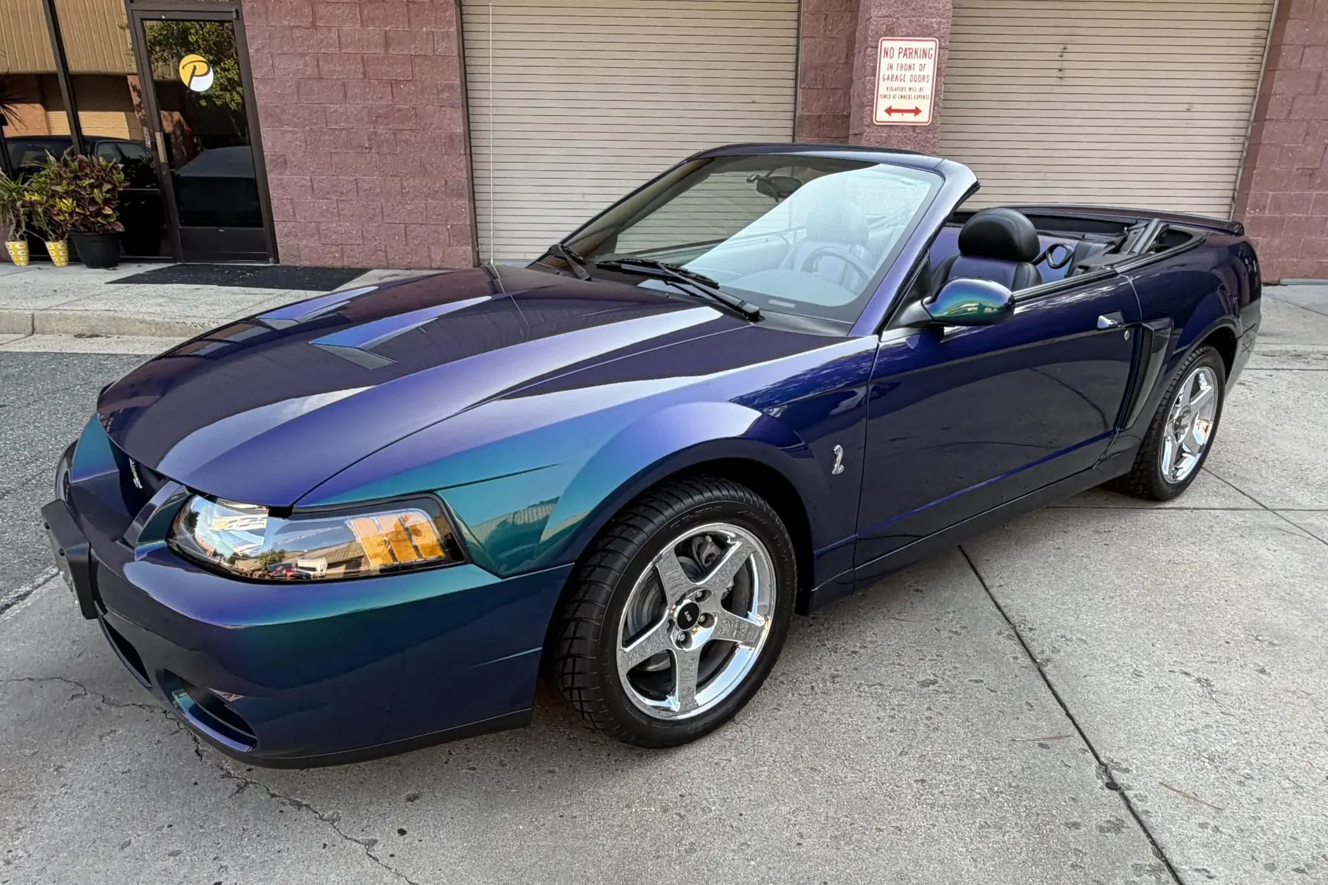 2004 Ford Mustang SVT Cobra