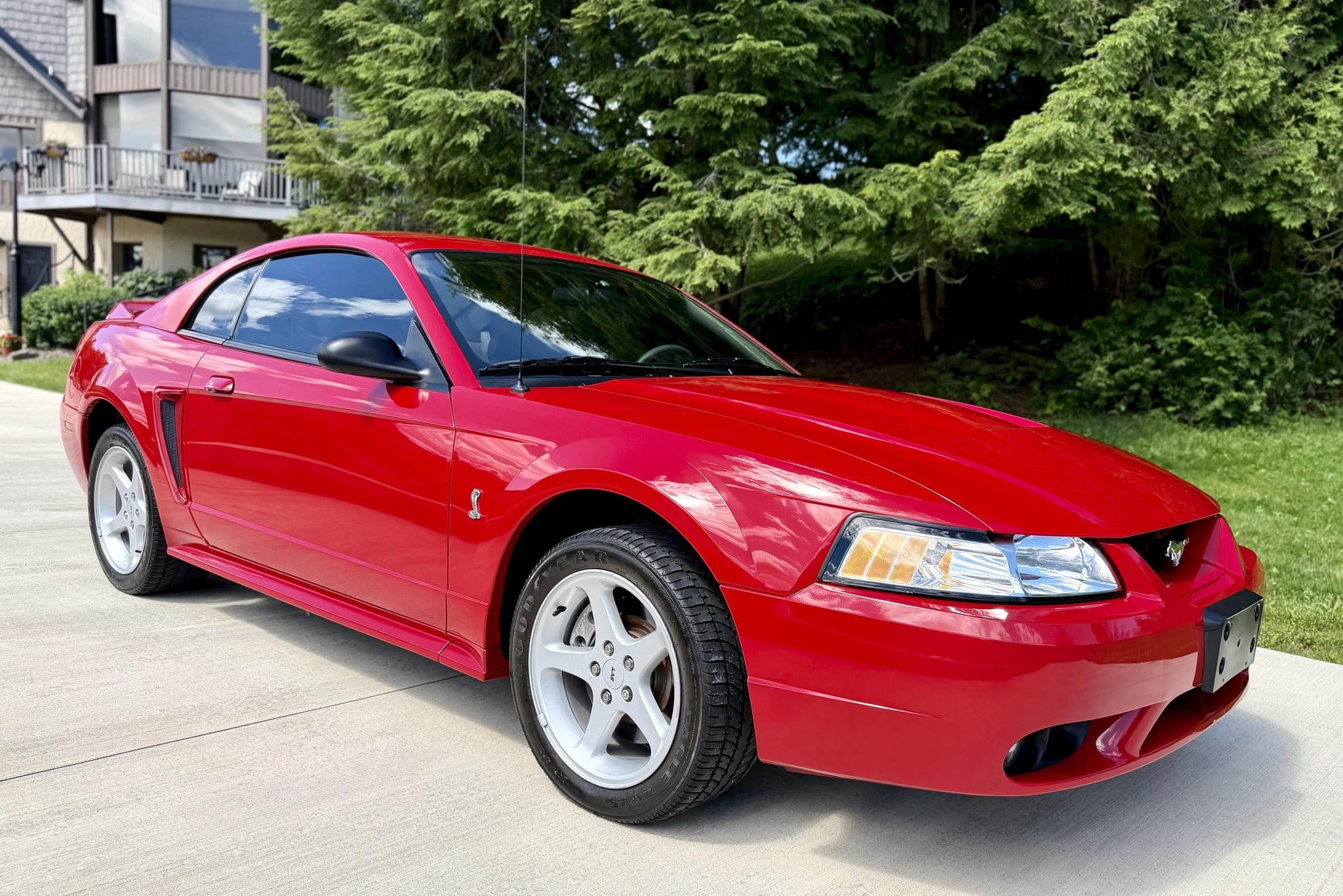 1999 Ford Mustang SVT Cobra