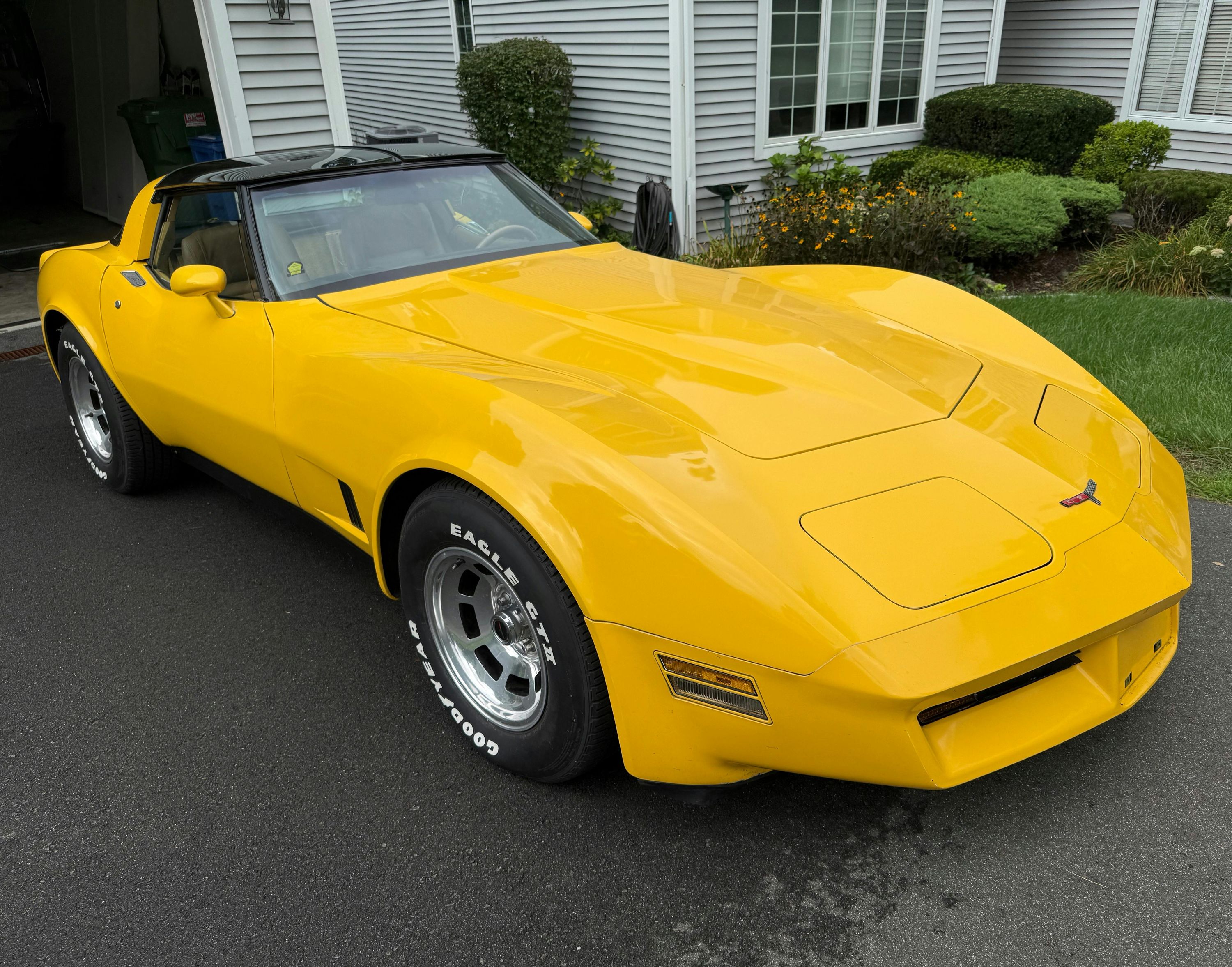 1981 Chevrolet Corvette