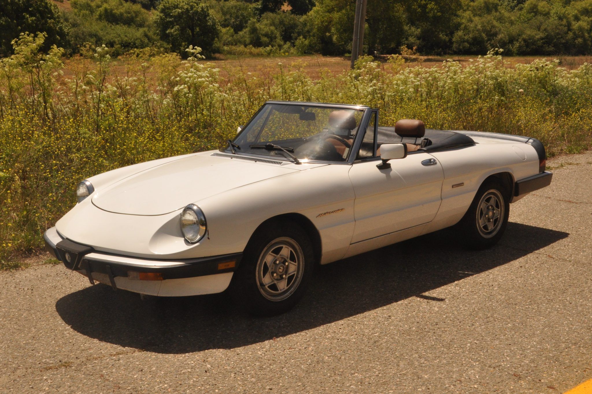 1990 Alfa Romeo 105 Series Spider