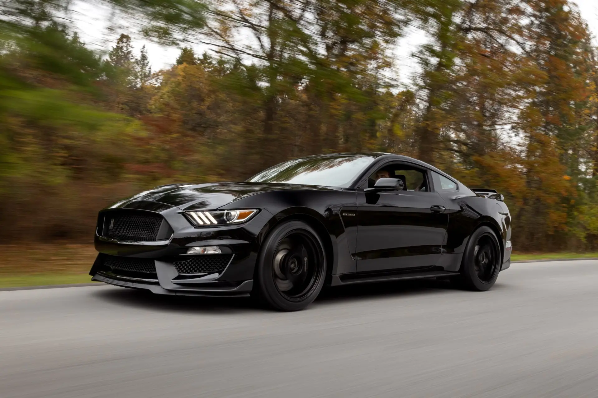 2019 Ford Mustang Shelby GT350