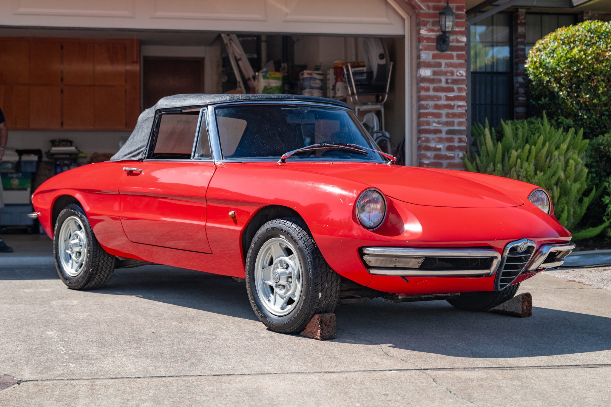 1966 Alfa Romeo 105 Series Spider