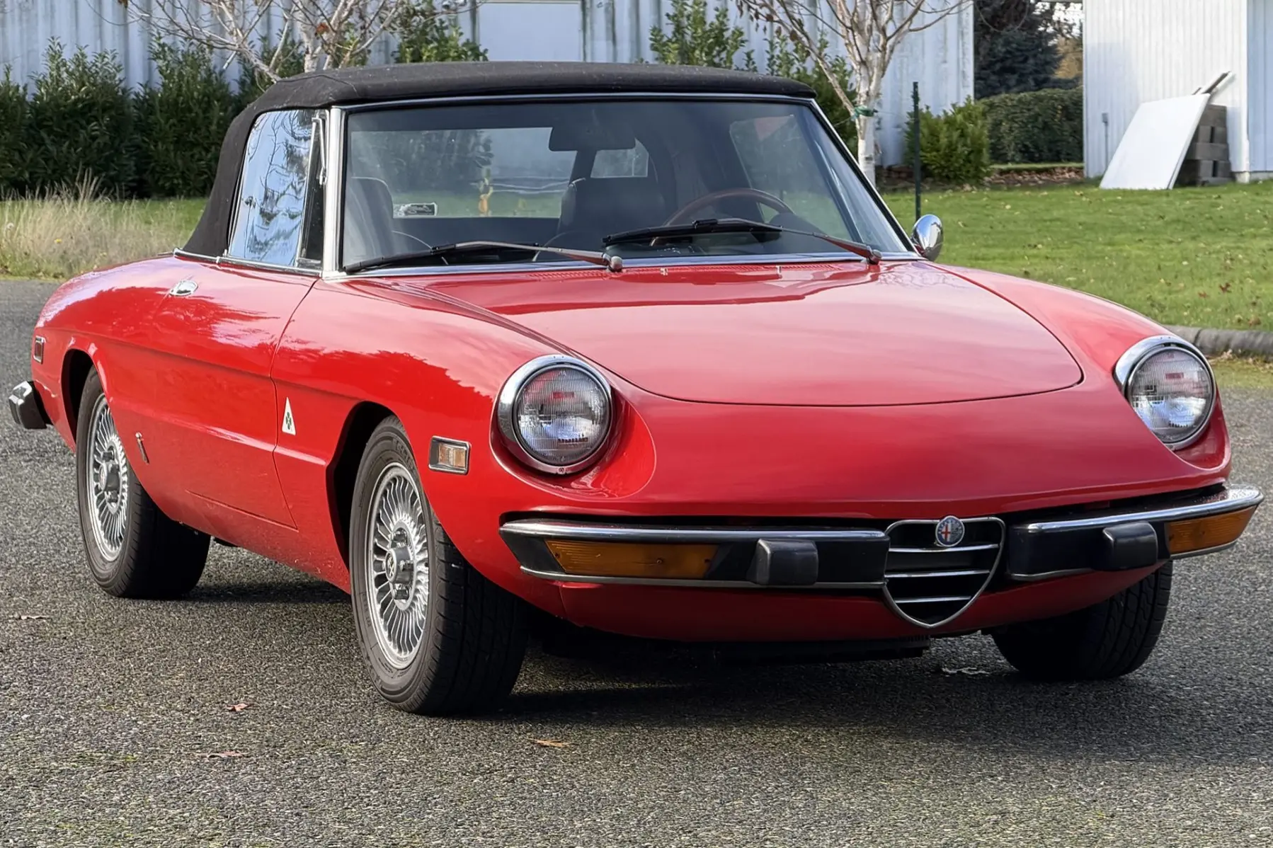 1973 Alfa Romeo 105 Series Spider