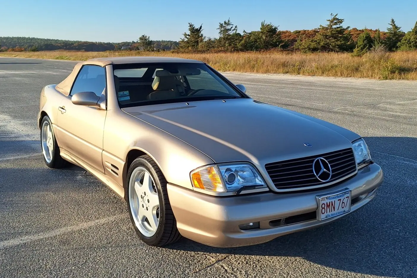 2001 Mercedes-Benz SL-Class SL500