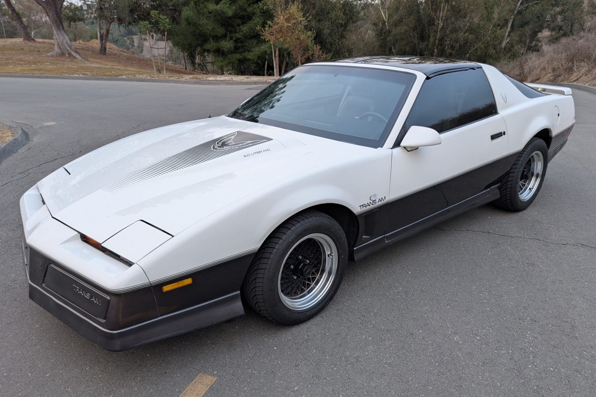 1983 Pontiac Firebird Trans Am