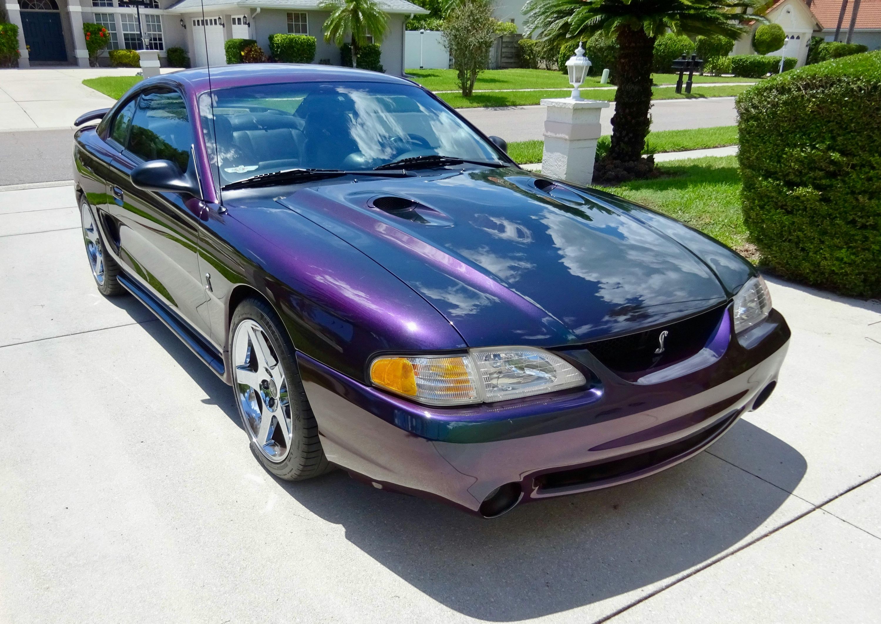 1996 Ford Mustang SVT Cobra