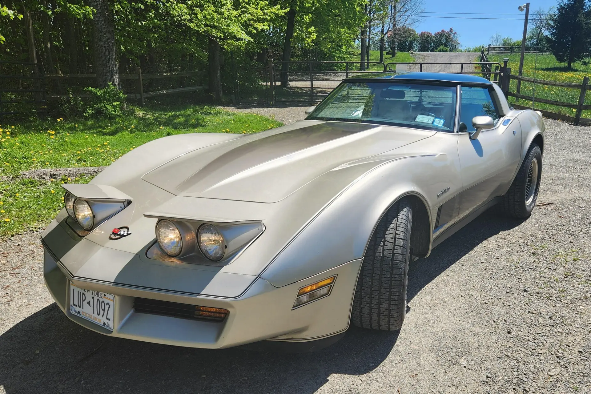 1982 Chevrolet Corvette