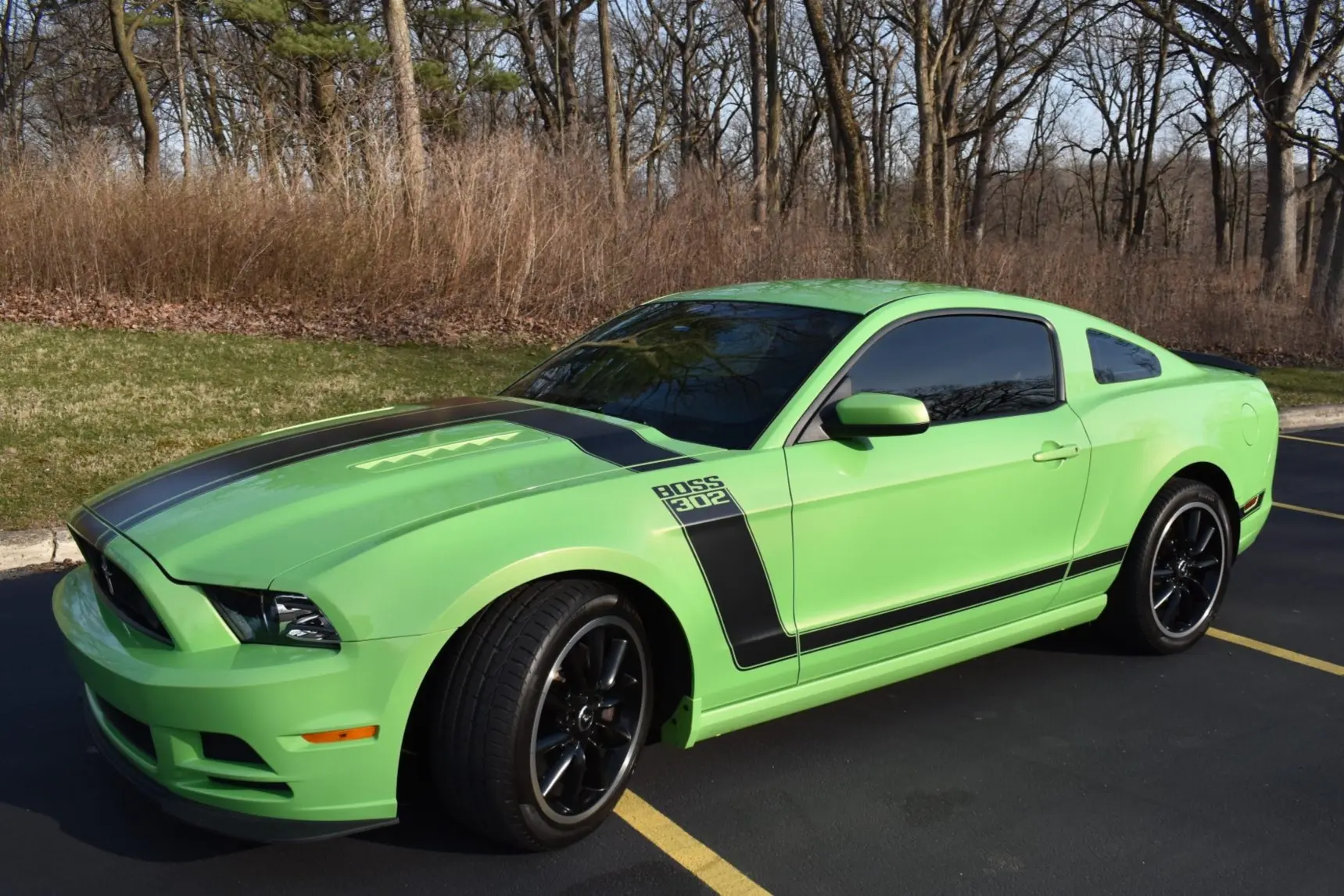 2013 Ford Mustang Boss 302