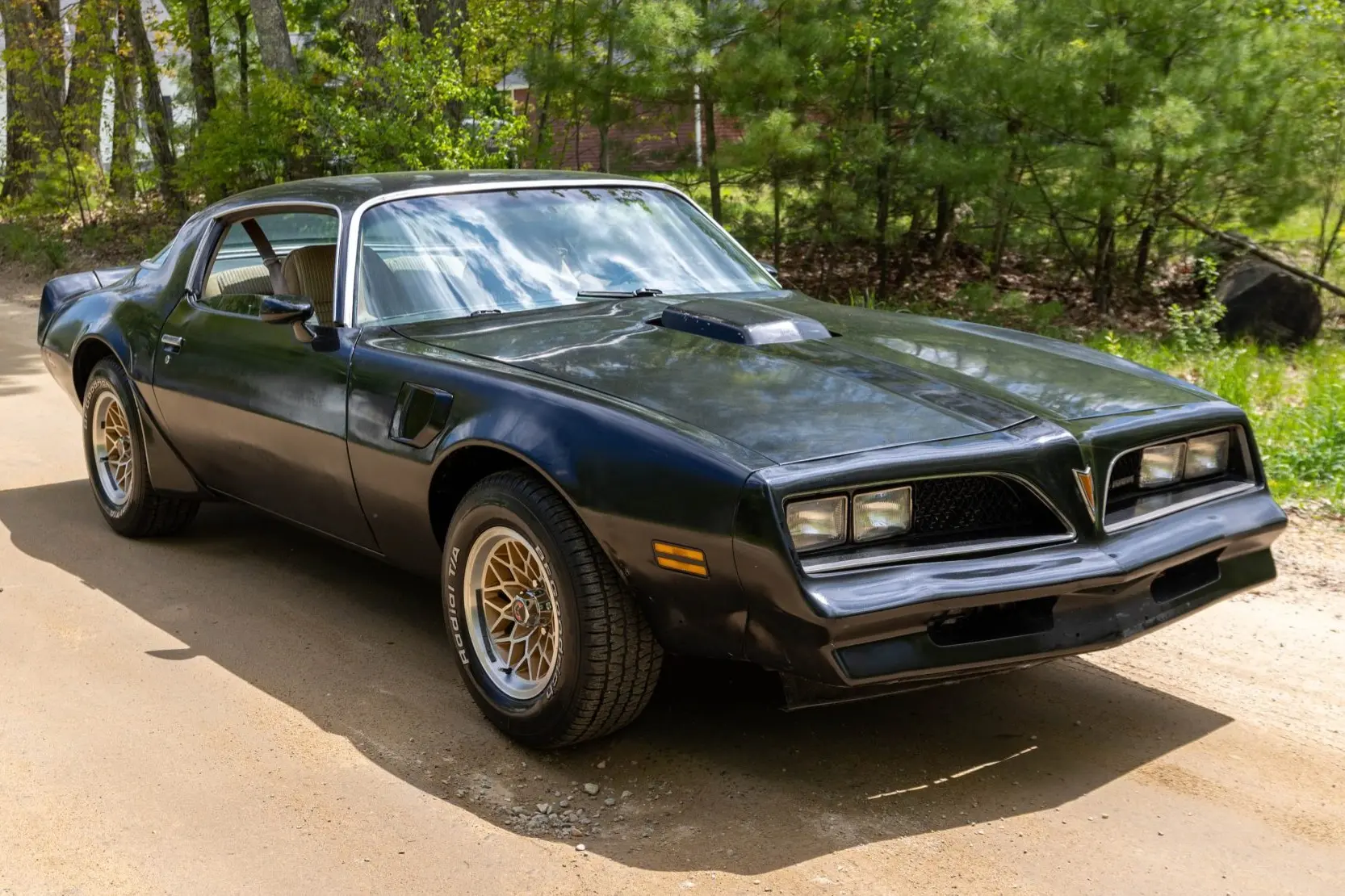 1981 Pontiac Firebird