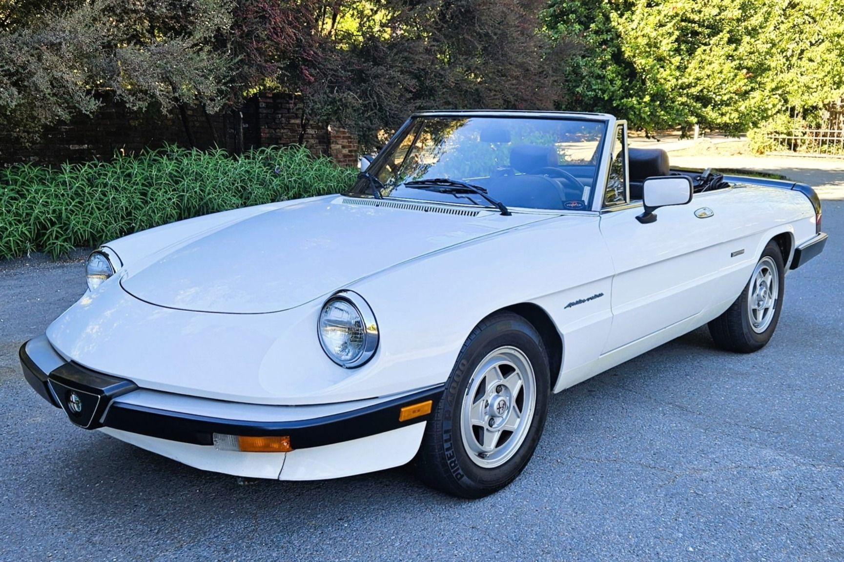 1990 Alfa Romeo Spider