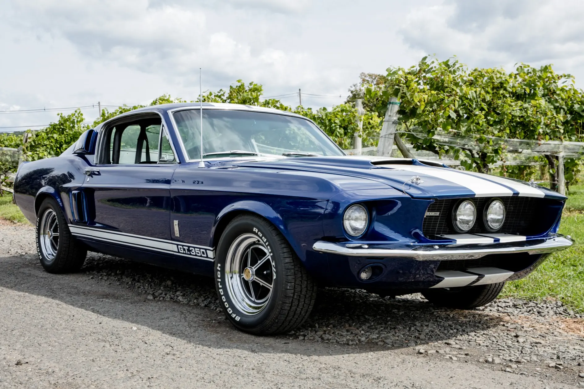 1967 Shelby GT350 1967 GT350