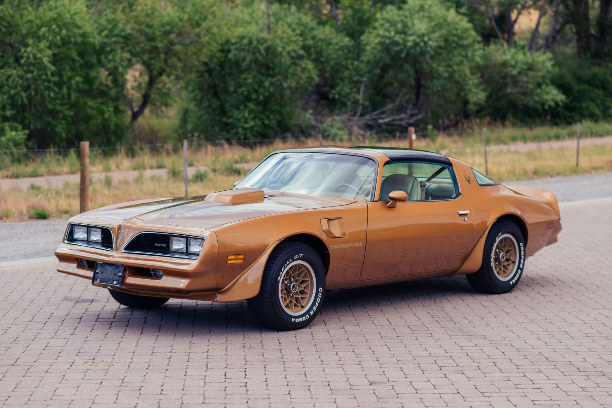 1978 Pontiac Firebird Trans Am