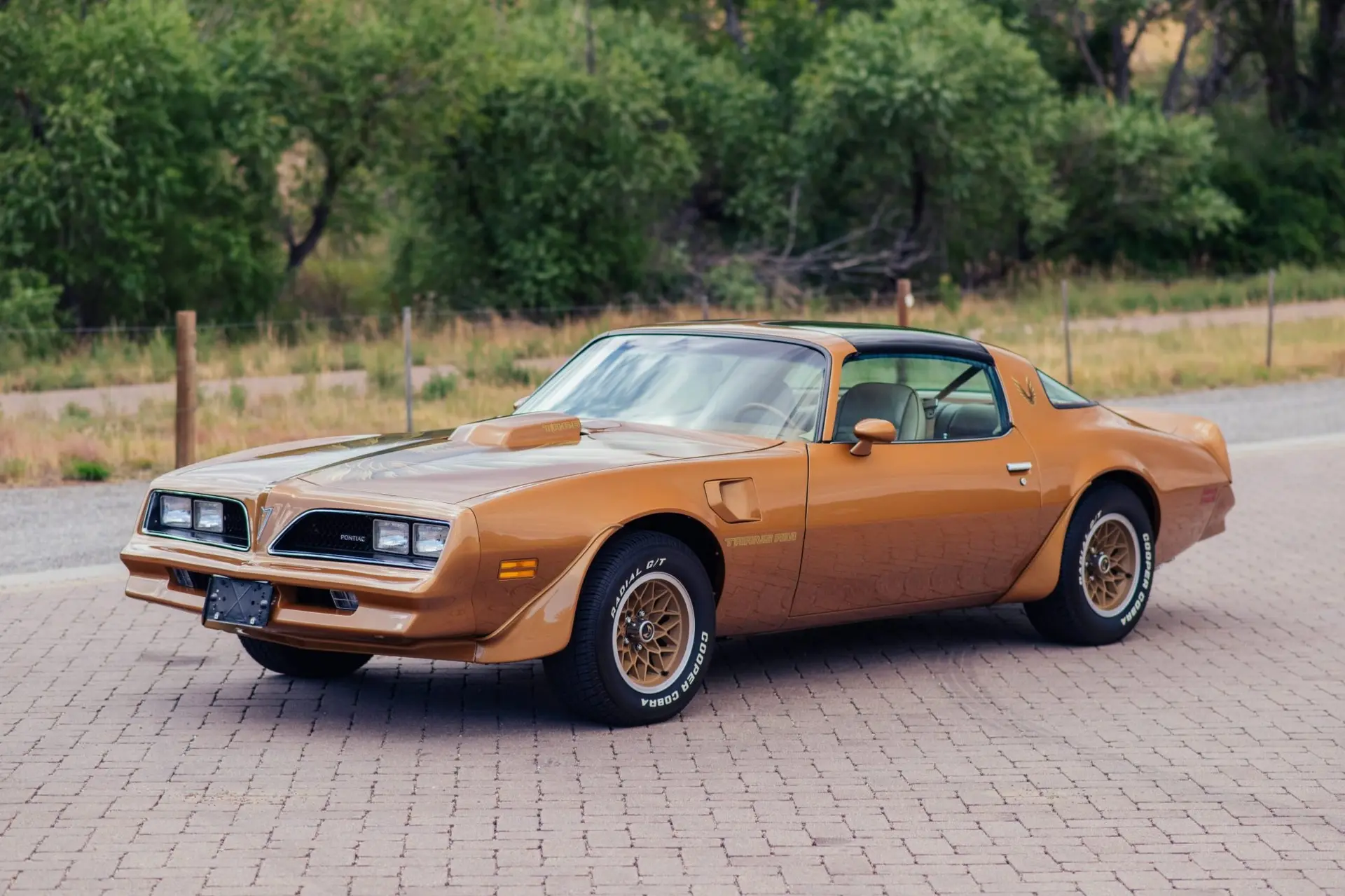 1978 Pontiac Firebird Trans Am
