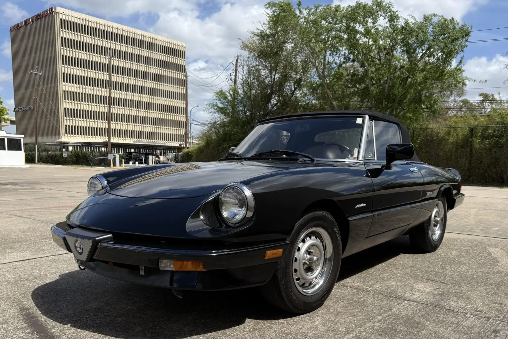 1987 Alfa Romeo Spider