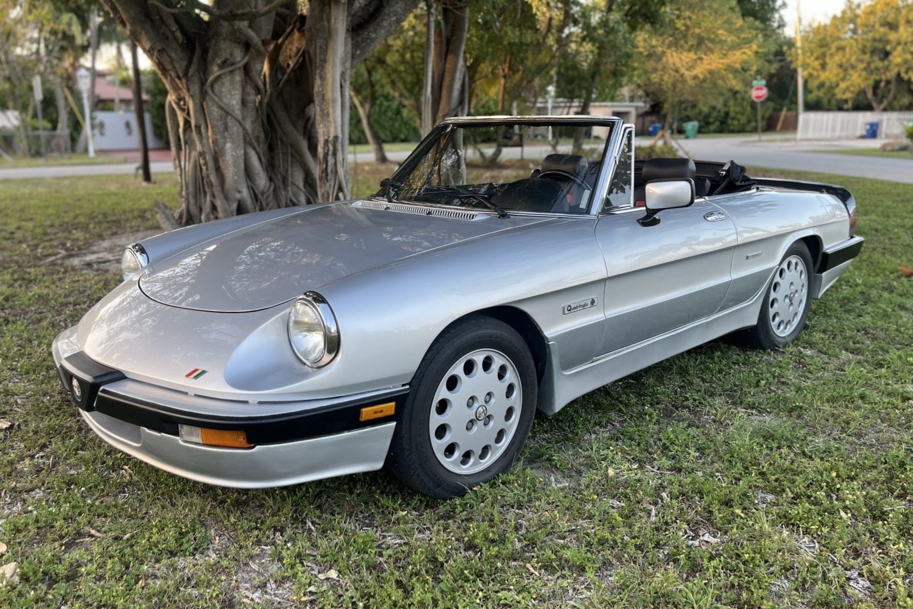 1987 Alfa Romeo Spider