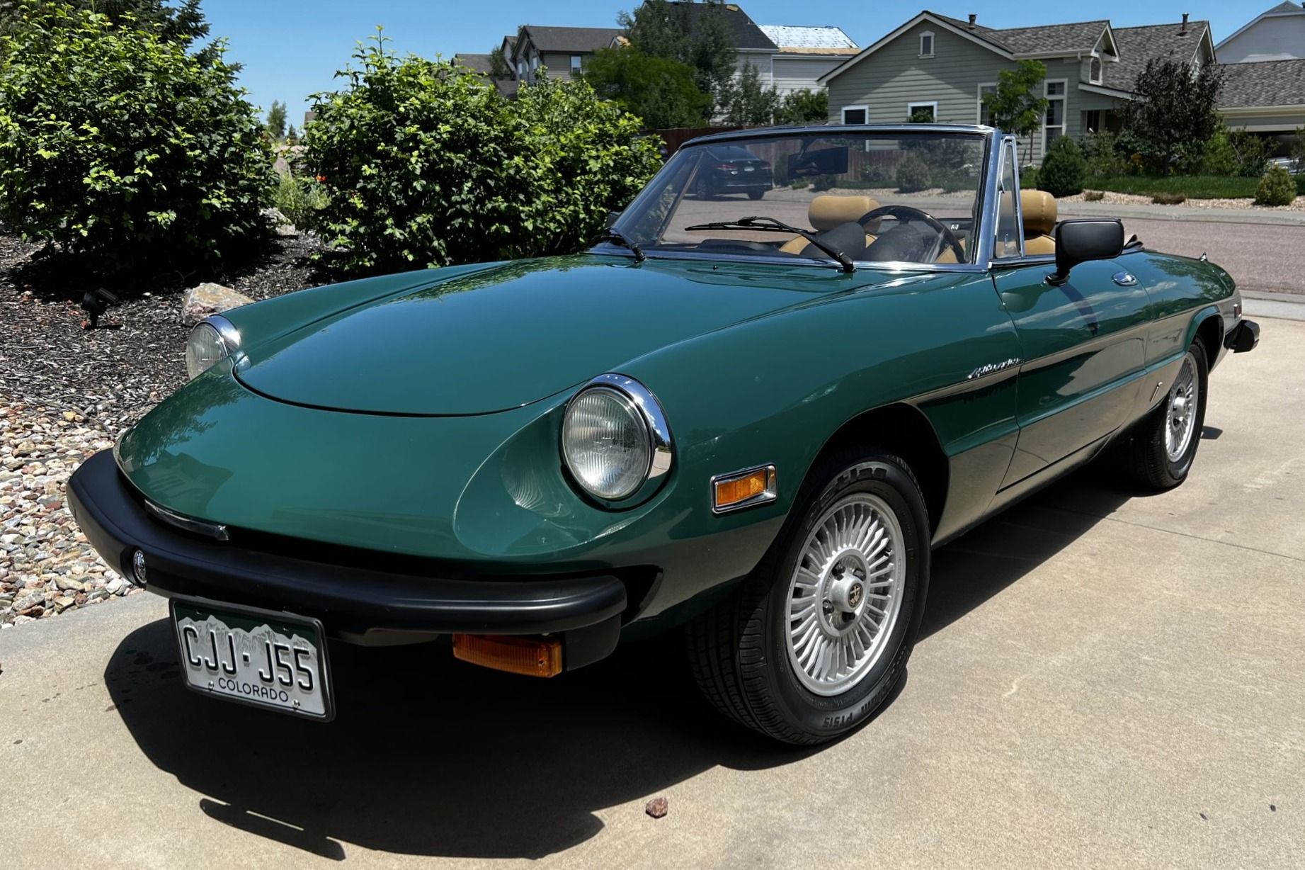 1980 Alfa Romeo 105 Series Spider