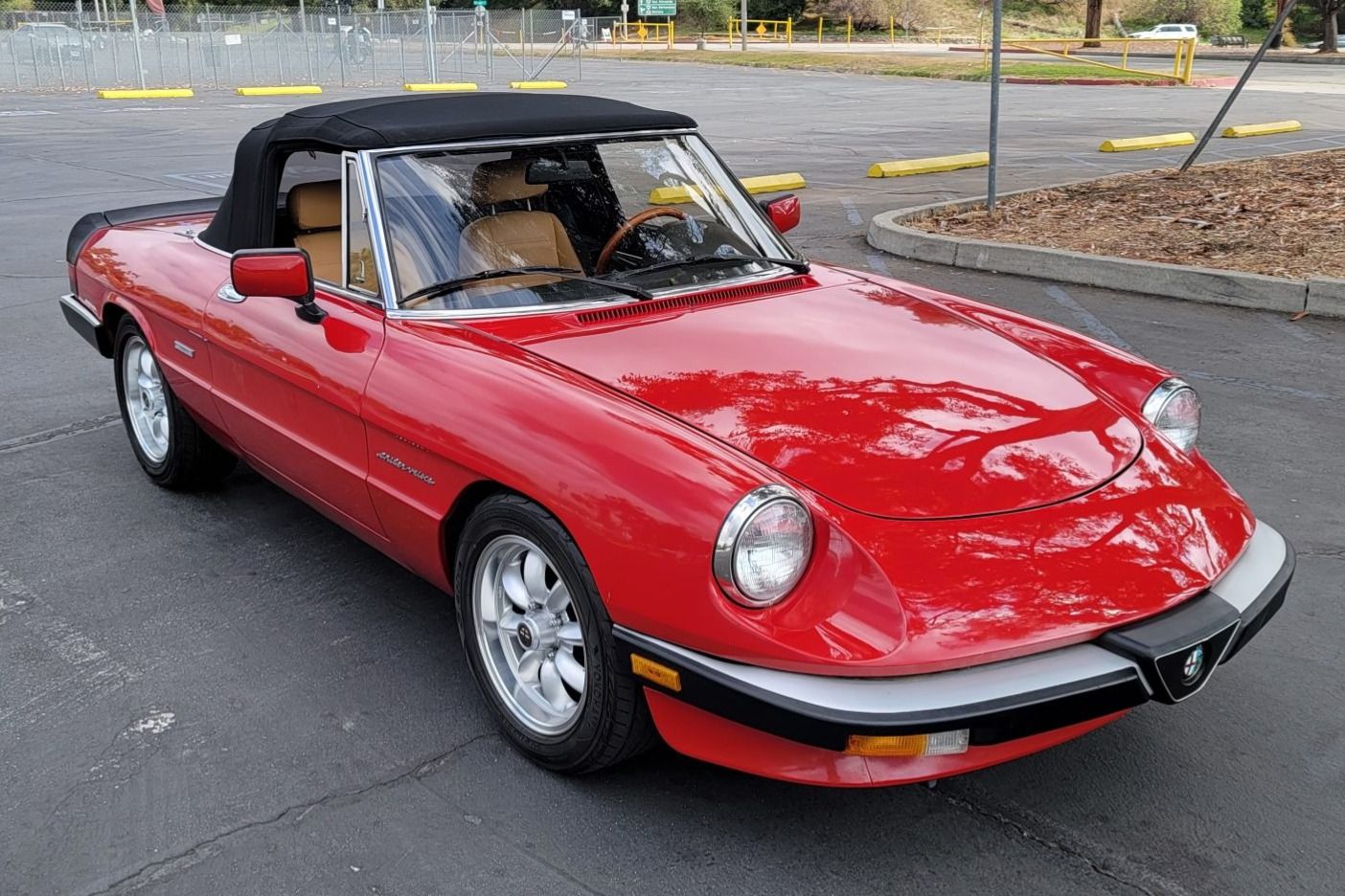 1986 Alfa Romeo Spider