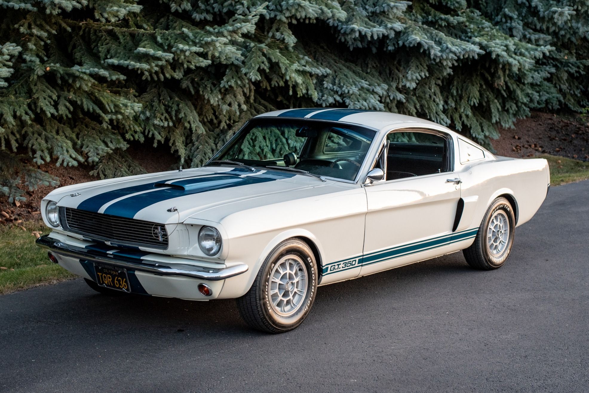 1966 Shelby GT350 1965 GT350