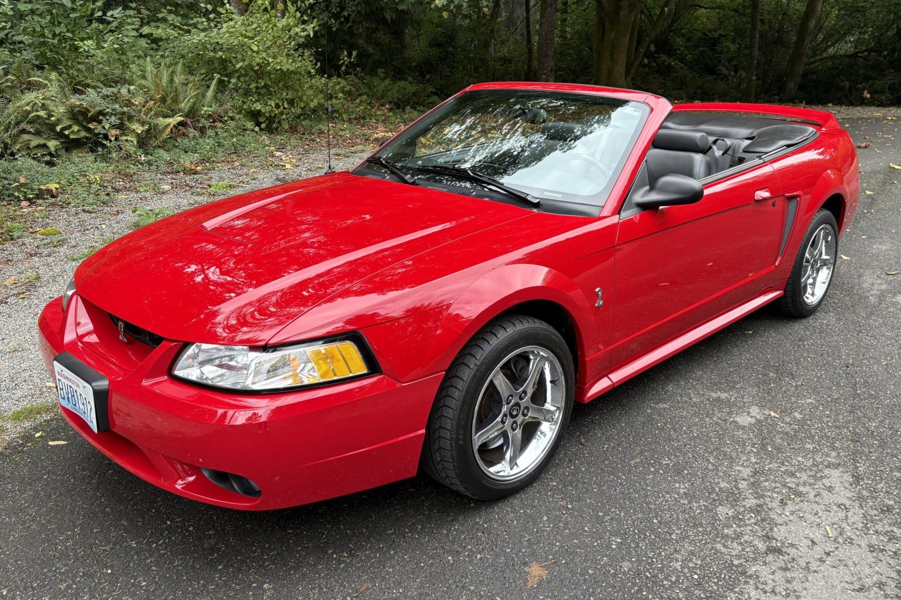 1999 Ford Mustang SVT Cobra Convertible