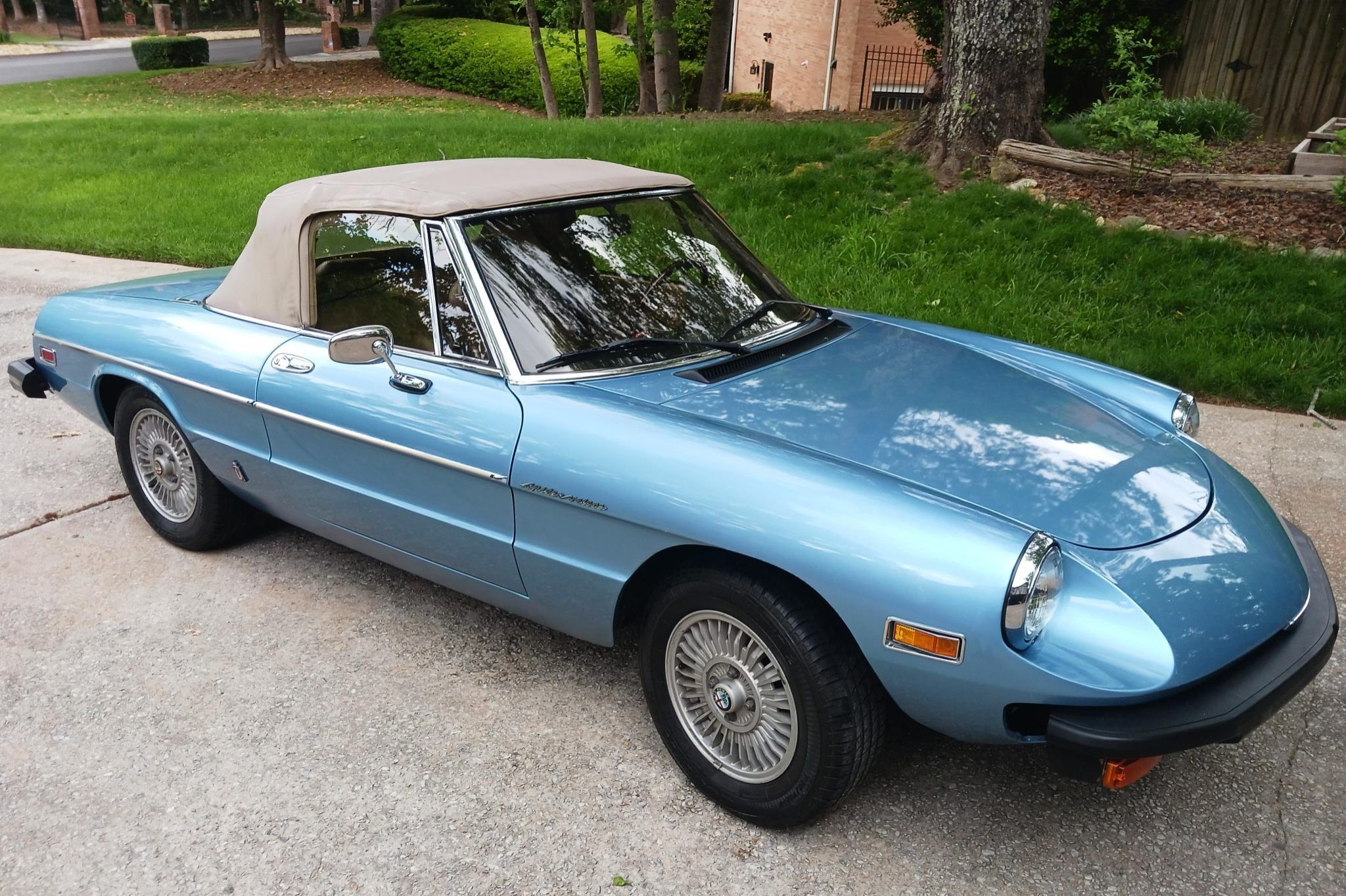 1981 Alfa Romeo 105 Series Spider