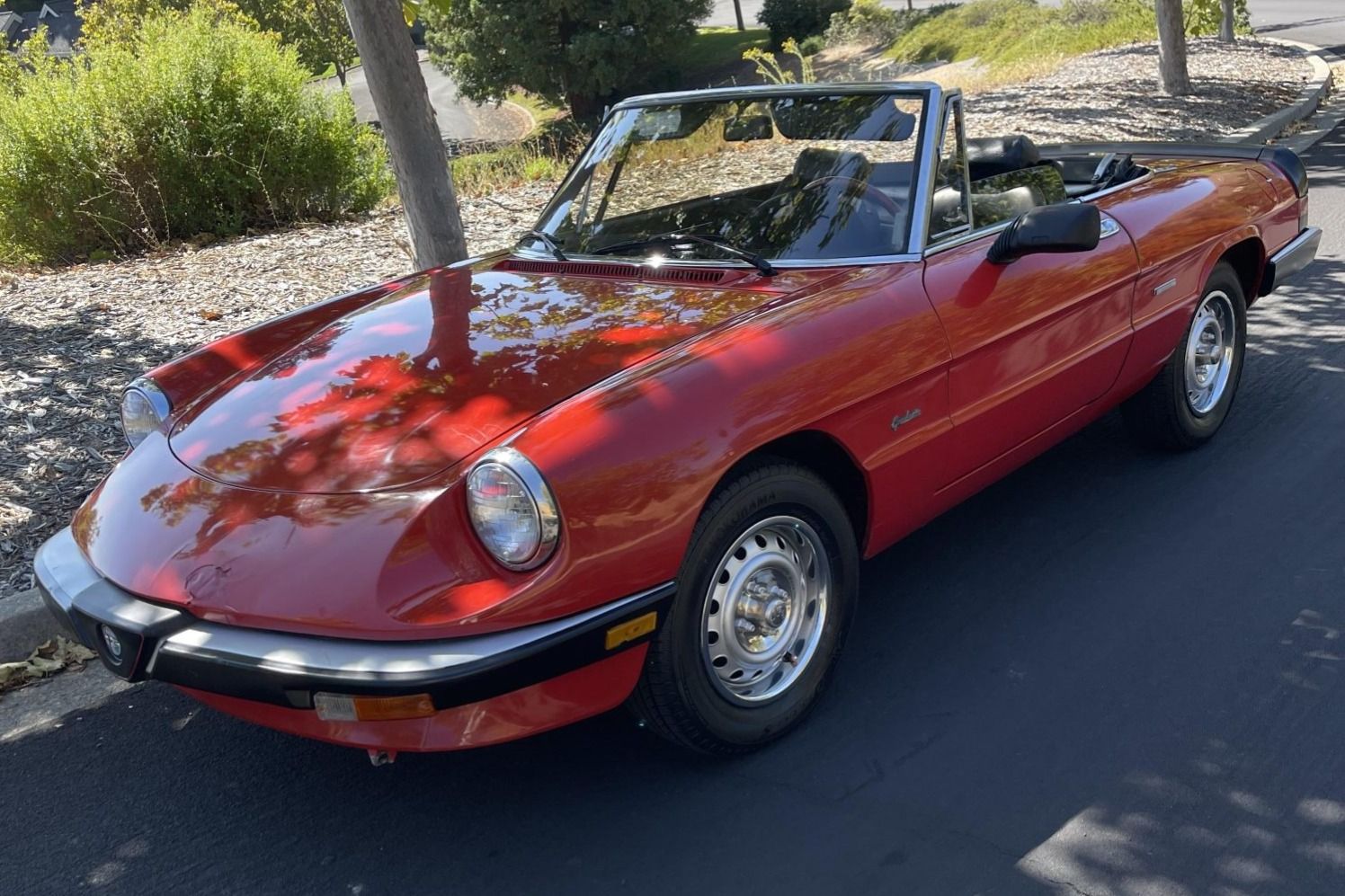1986 Alfa Romeo Spider