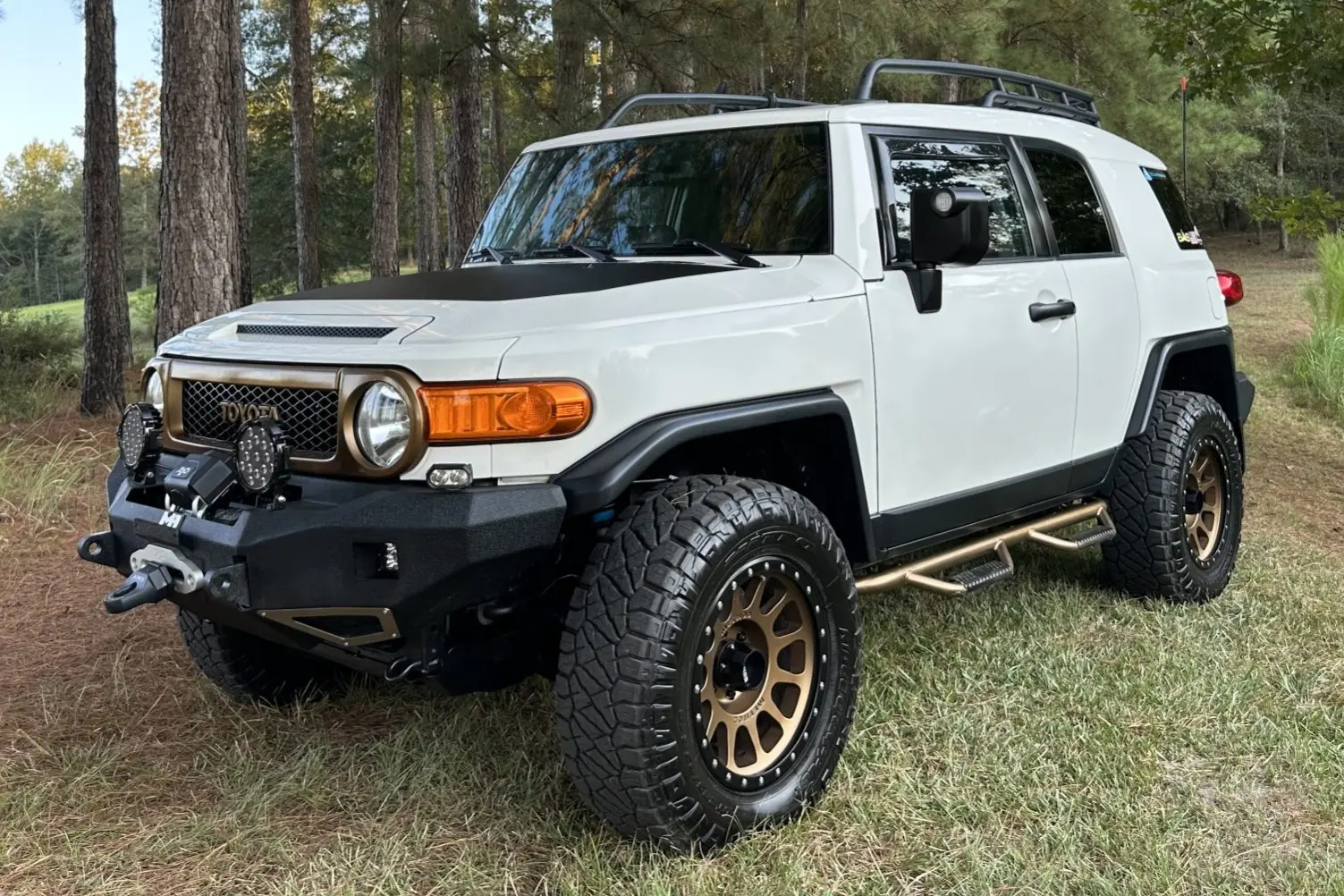 2011 Toyota FJ Cruiser