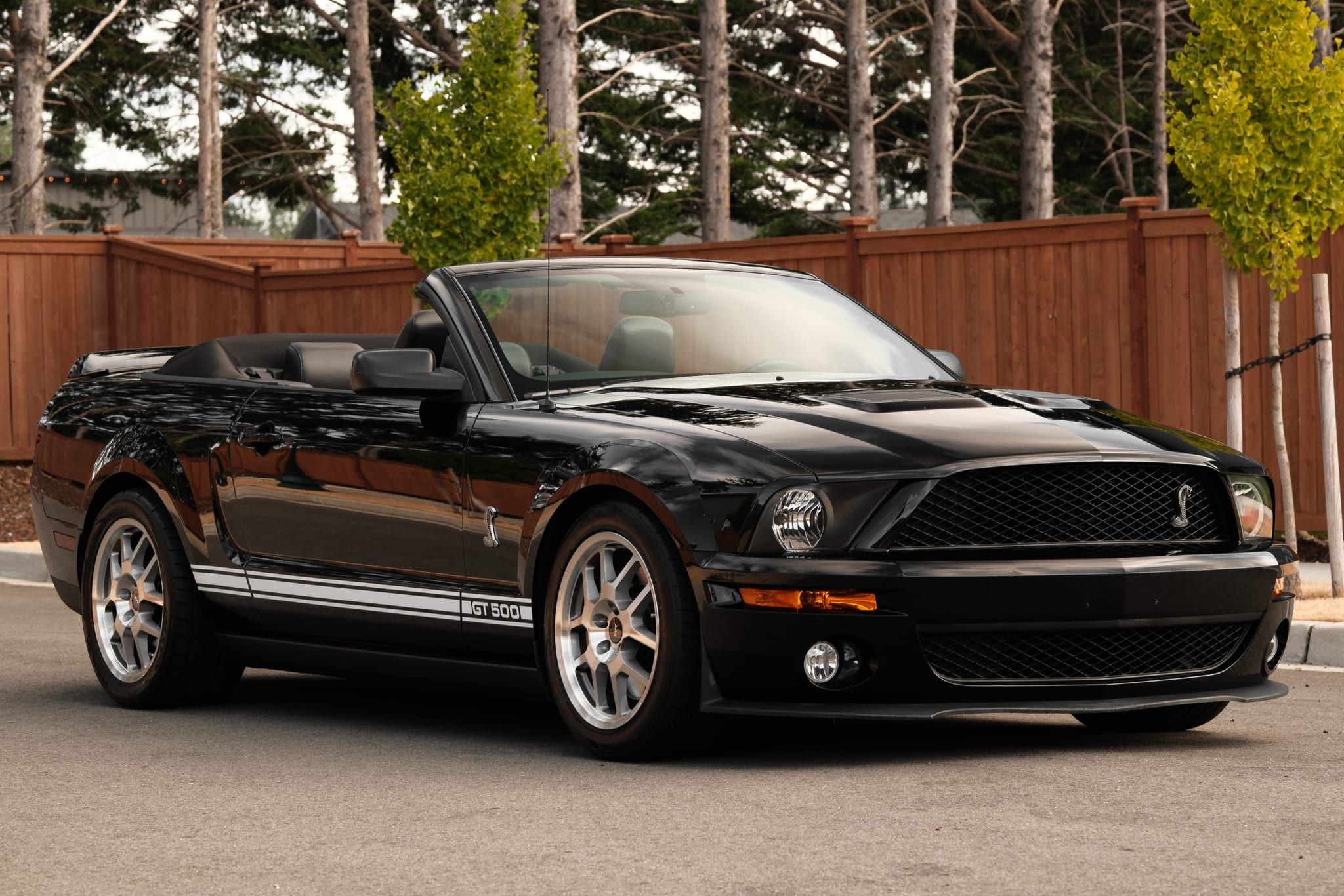 2007 Ford Mustang Shelby GT500