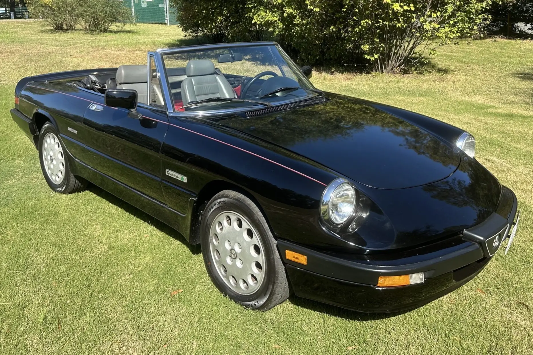 1987 Alfa Romeo Spider