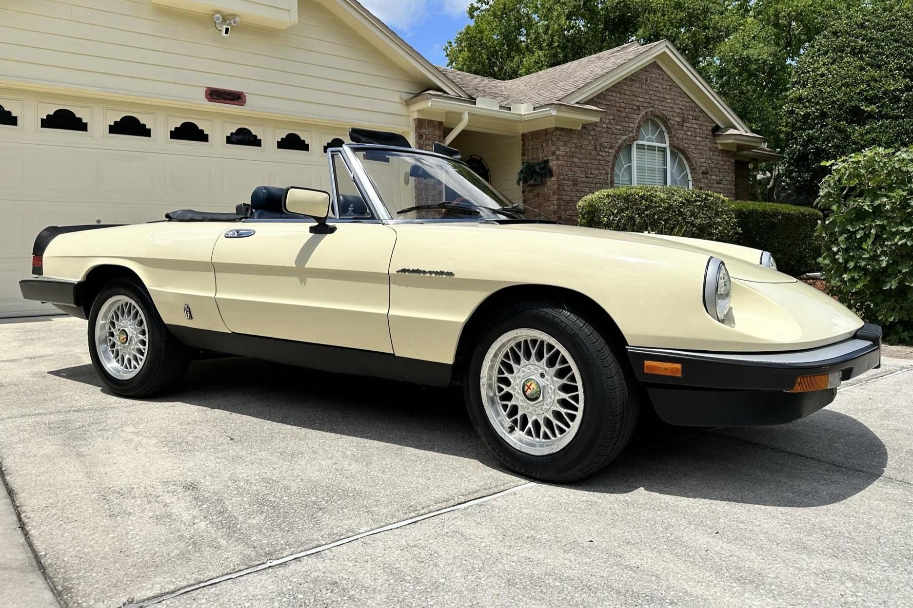 1984 Alfa Romeo Spider