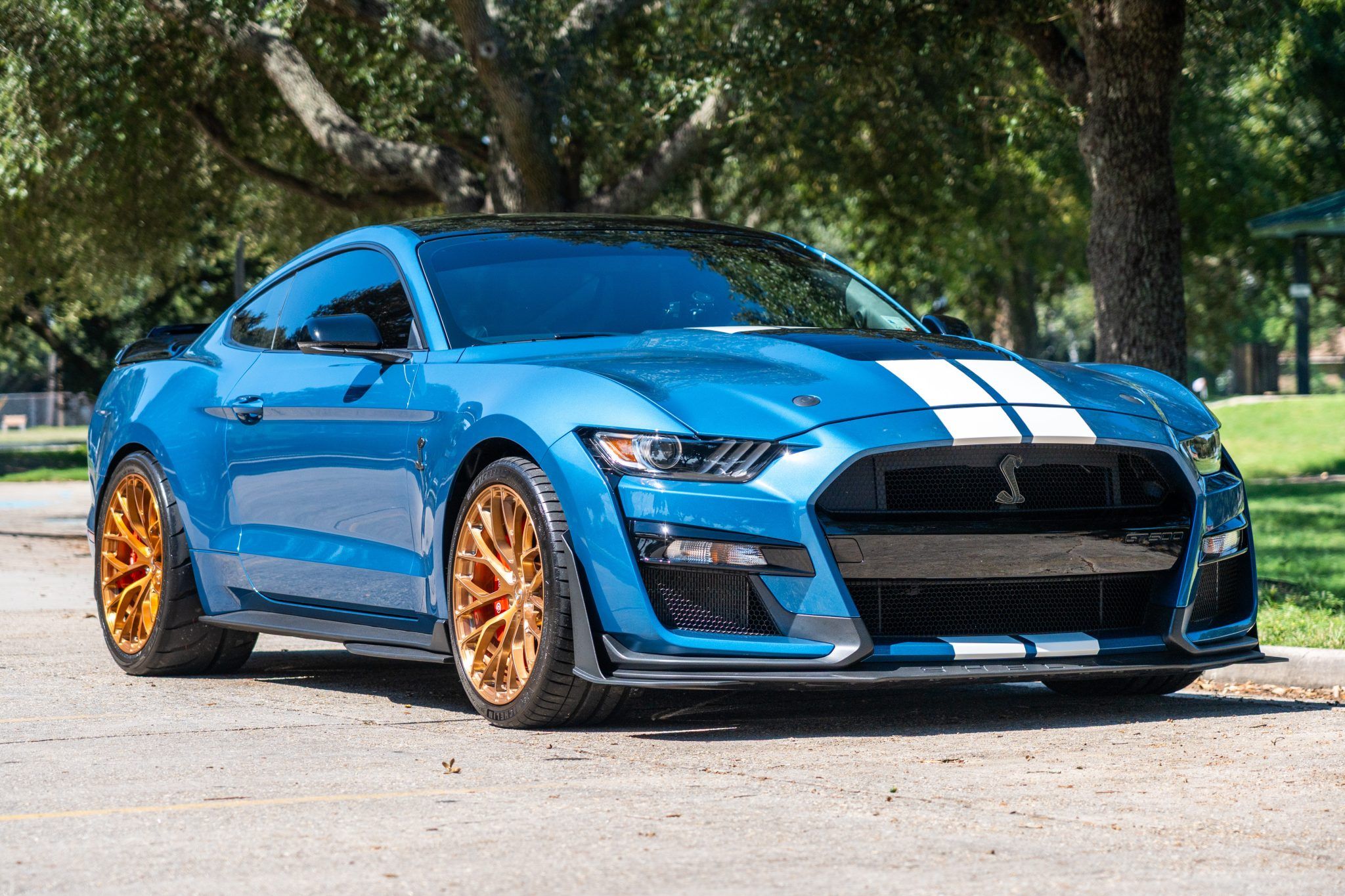 2020 Ford Mustang Shelby GT500