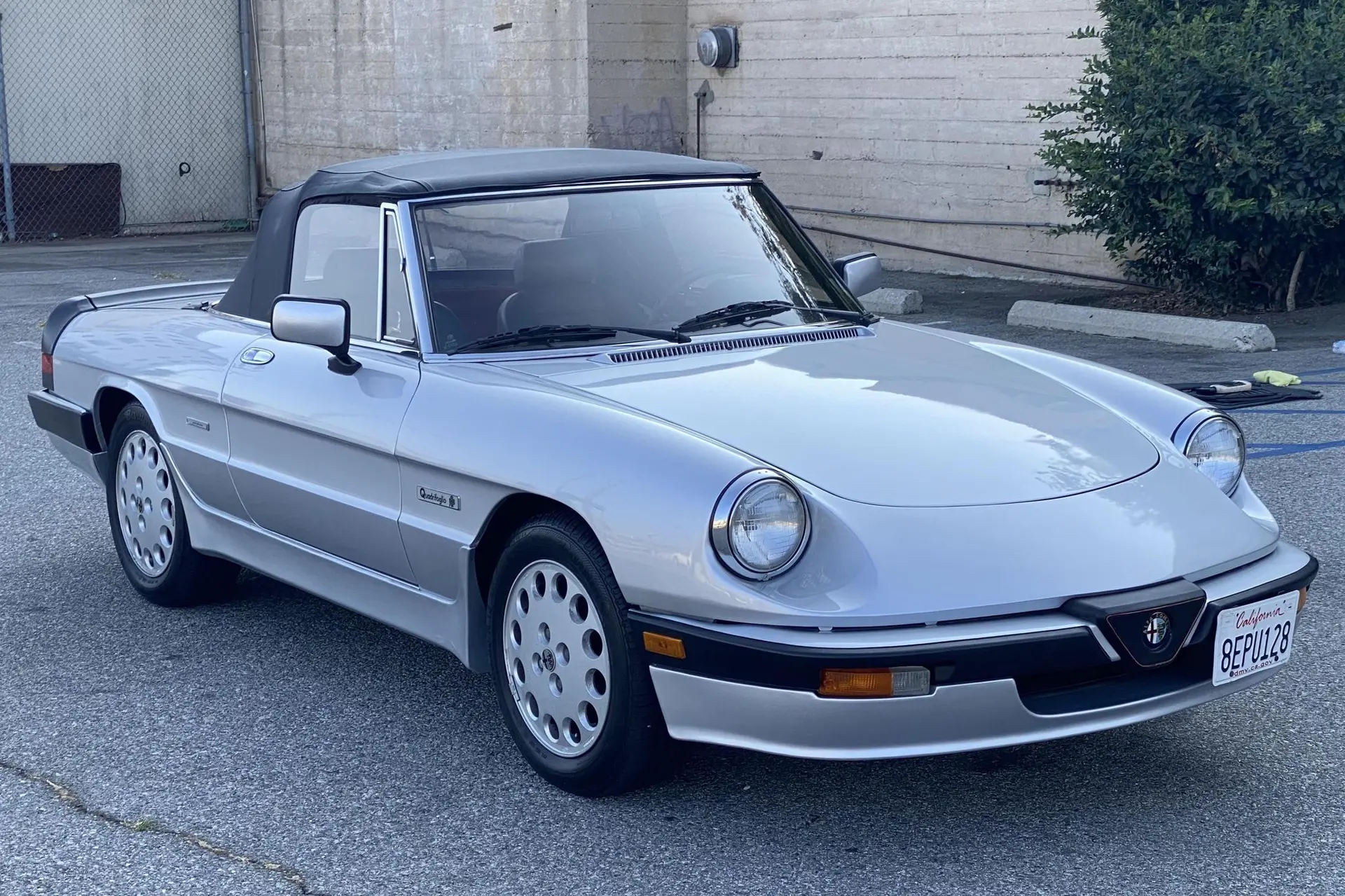 1987 Alfa Romeo Spider