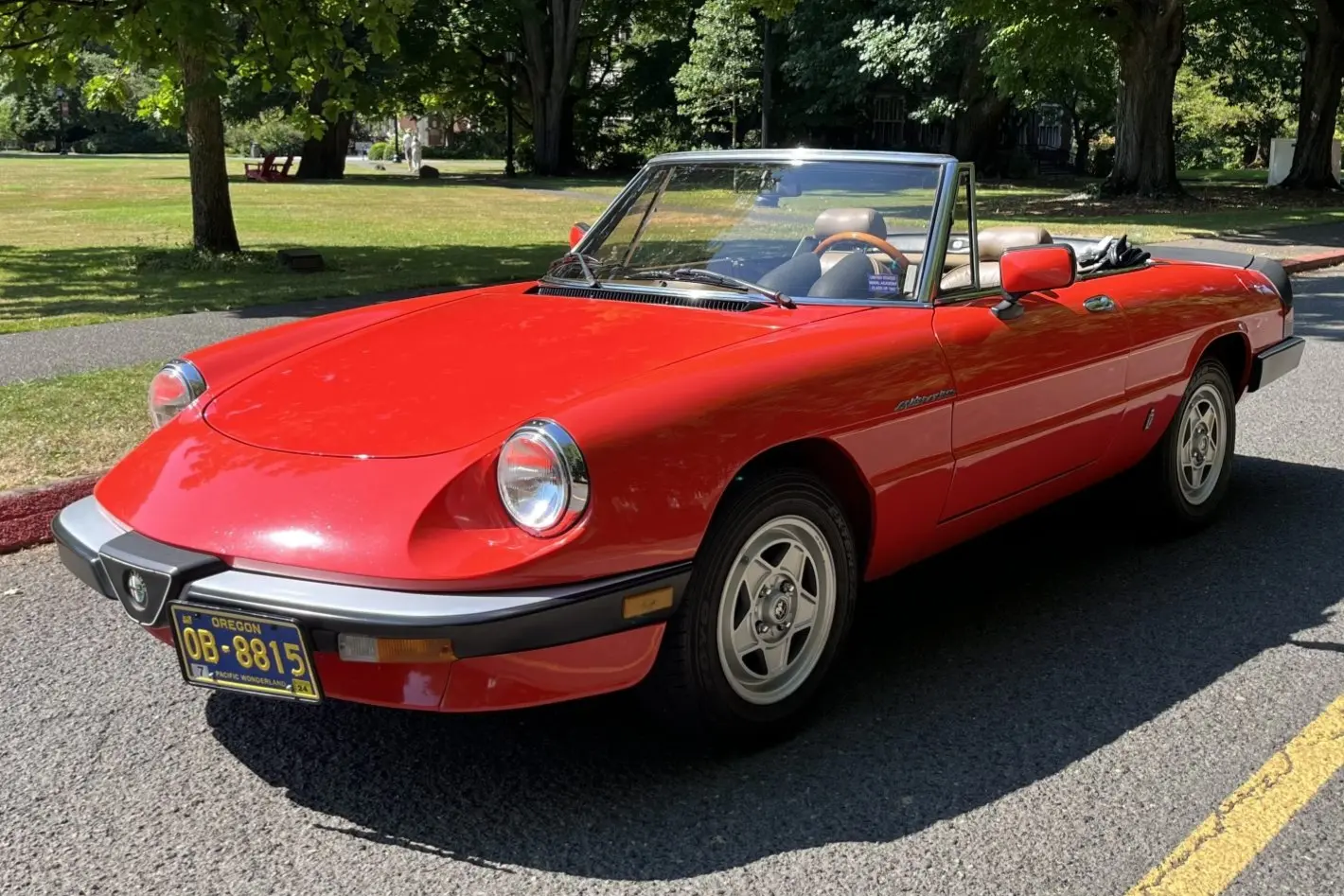 1984 Alfa Romeo Spider