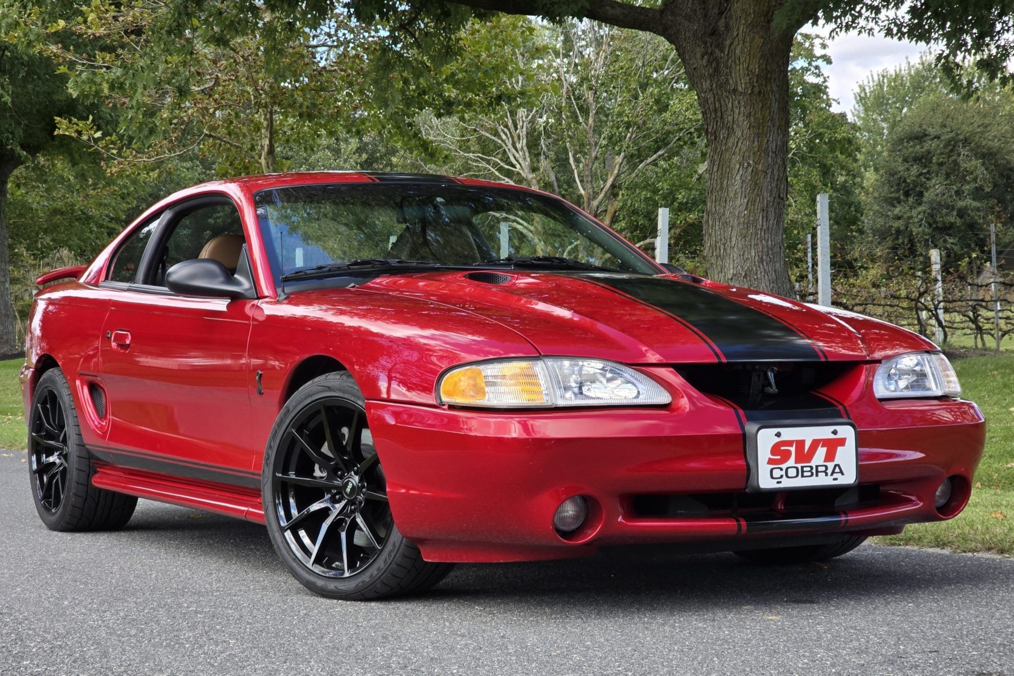 1998 Ford Mustang SVT Cobra