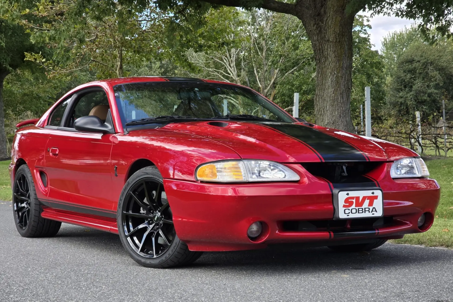 1998 Ford Mustang SVT Cobra