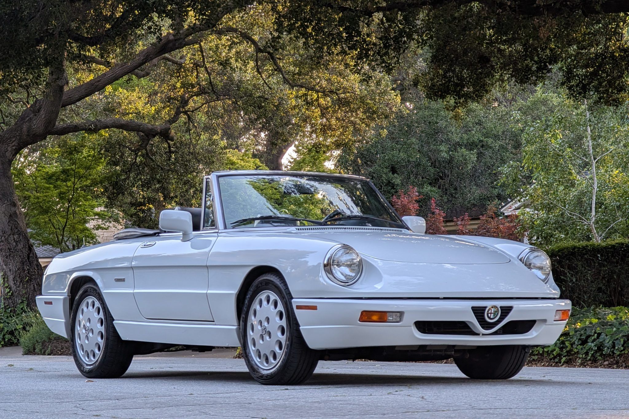 1993 Alfa Romeo 105 Series Spider