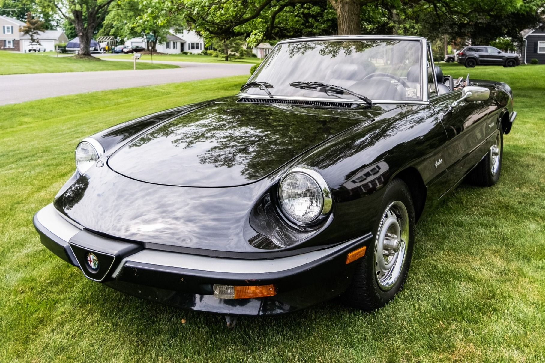1986 Alfa Romeo Spider