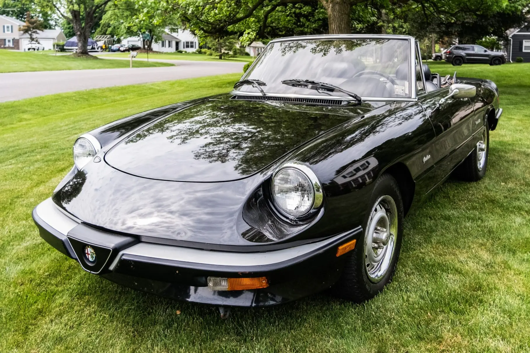 1986 Alfa Romeo Spider