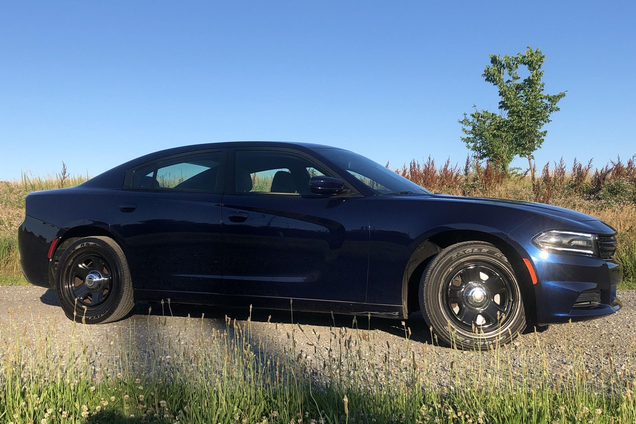 2015 Dodge Charger R/T