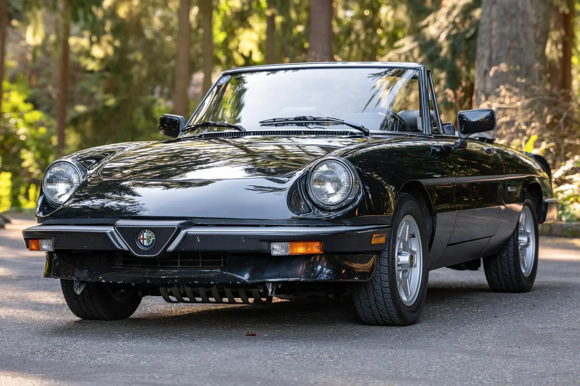 1990 Alfa Romeo 105 Series Spider