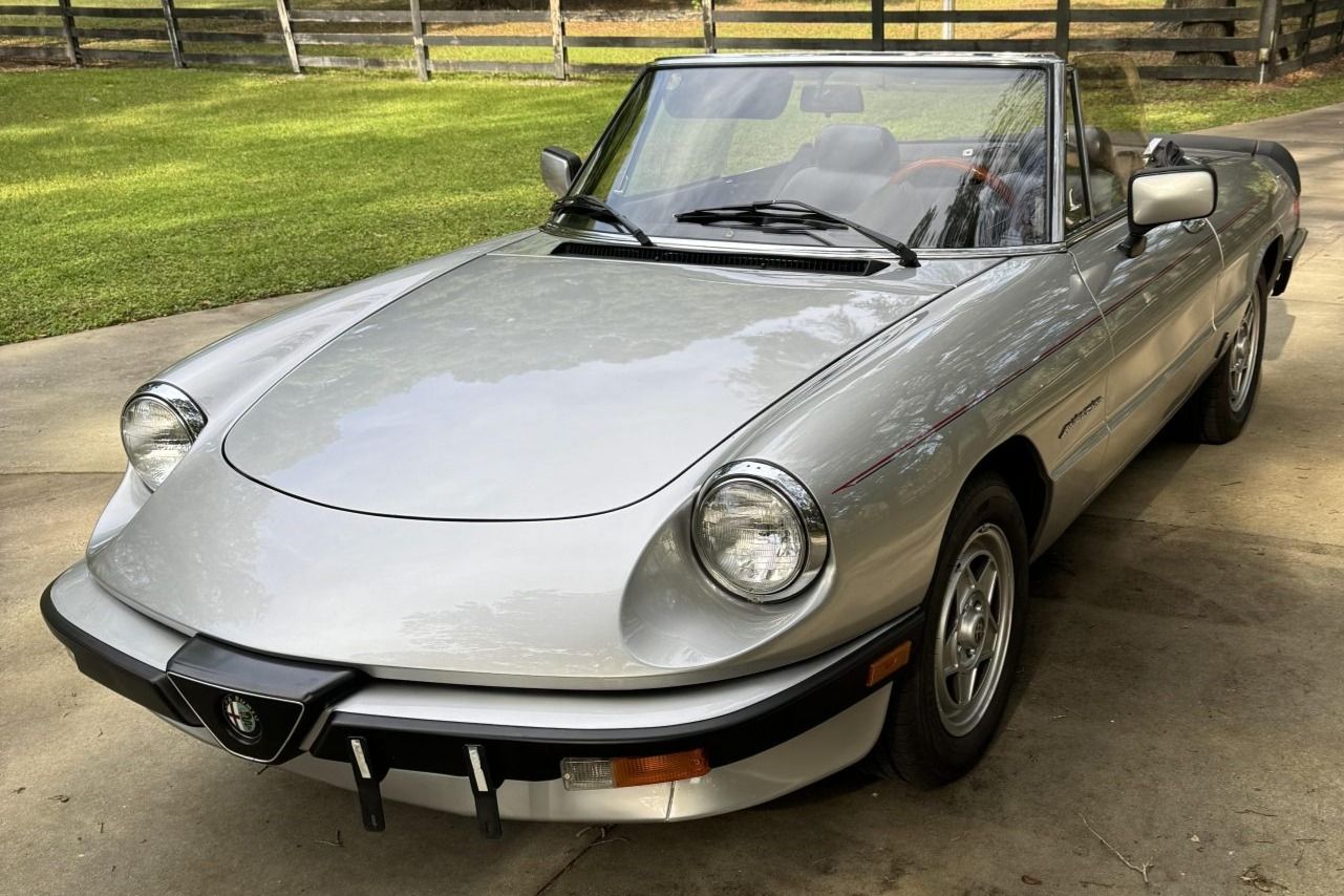 1984 Alfa Romeo Spider
