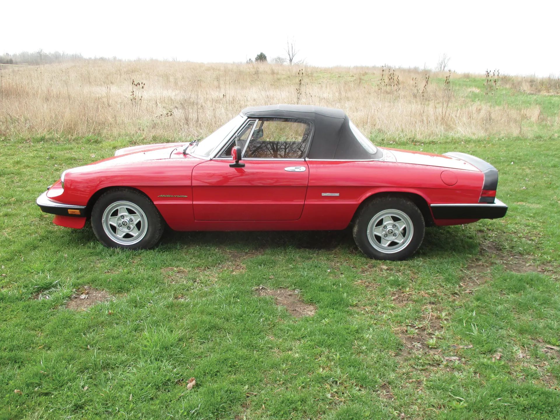 1986 Alfa Romeo 105 Series Spider