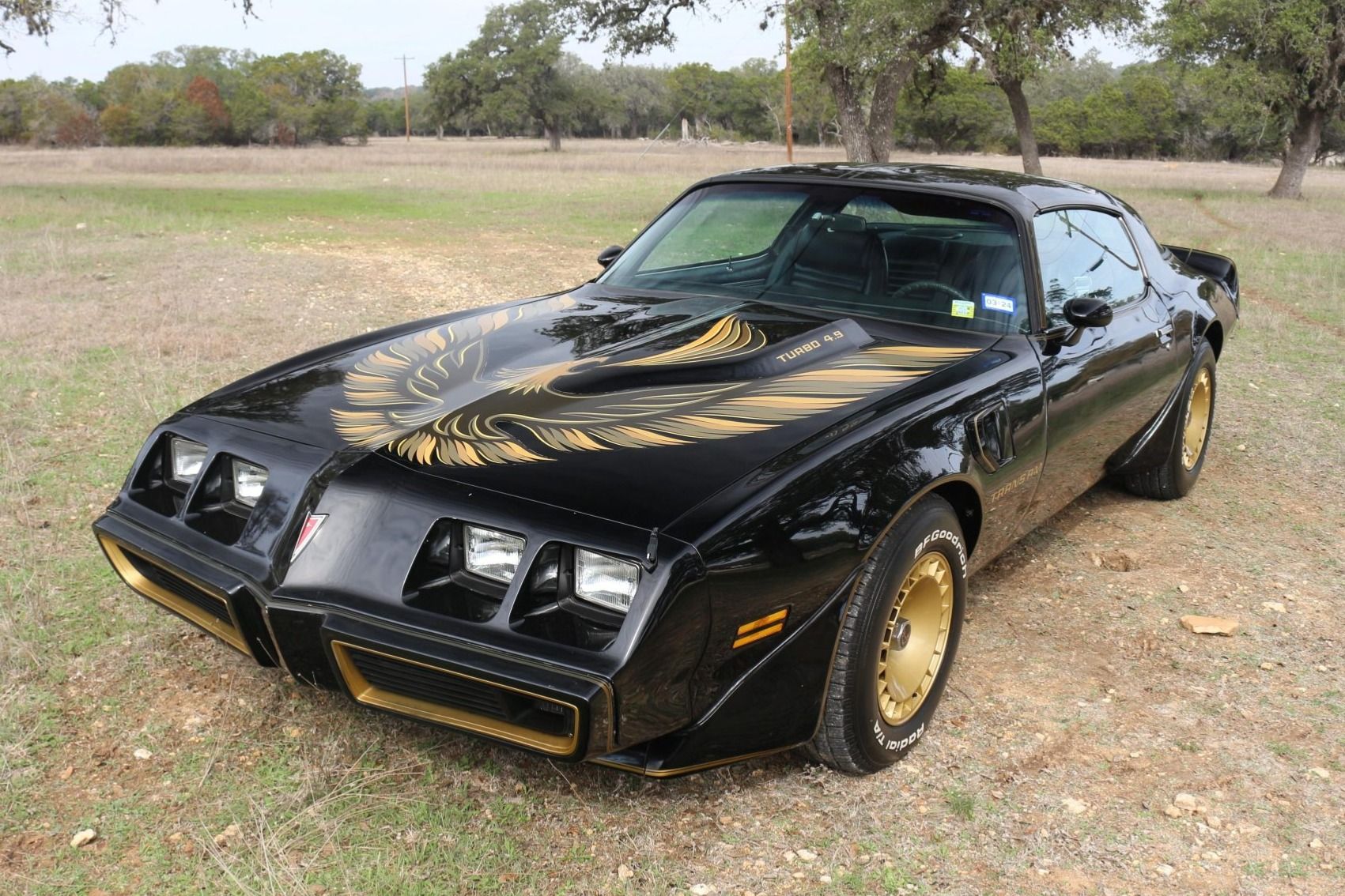 1980 Pontiac Firebird Trans Am