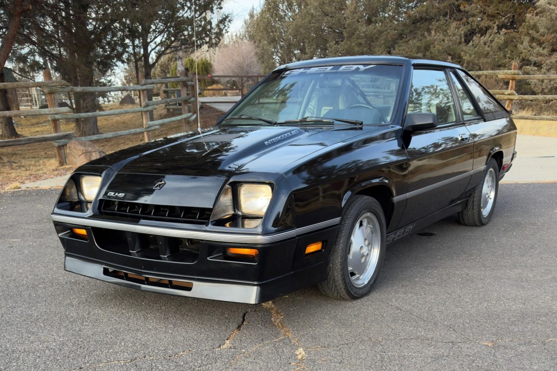 1987 Dodge Shelby Charger