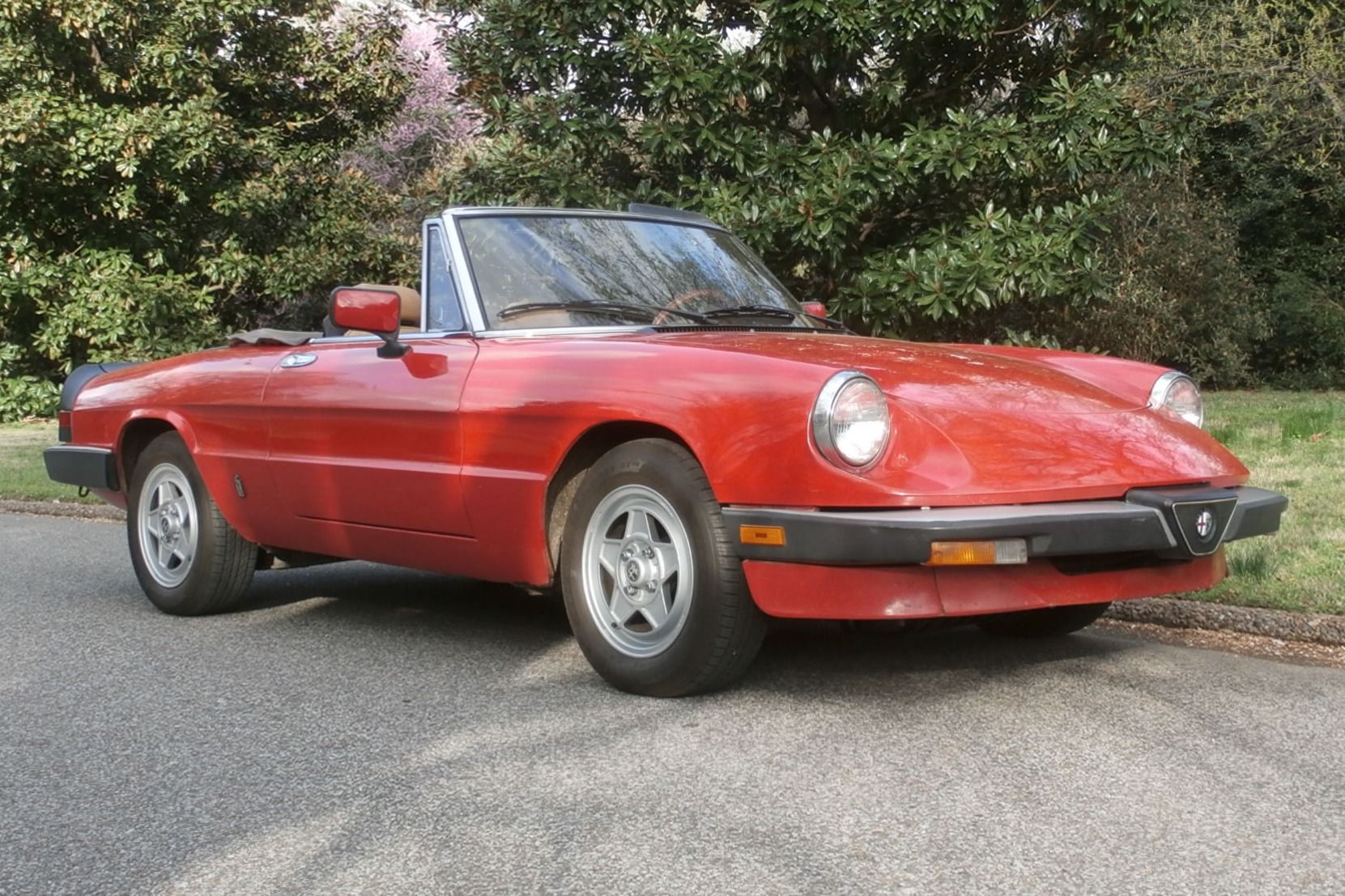 1983 Alfa Romeo 105 Series Spider