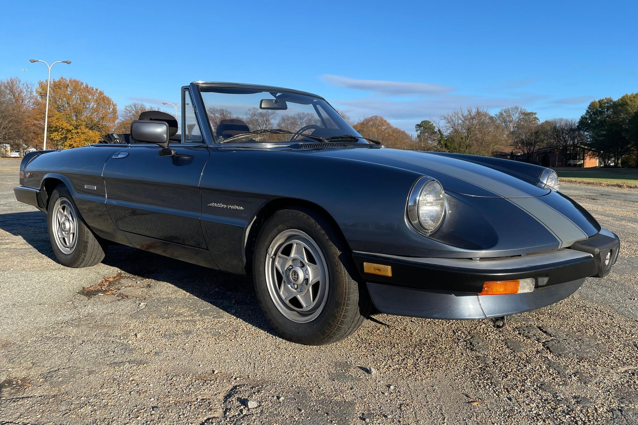 1987 Alfa Romeo Spider