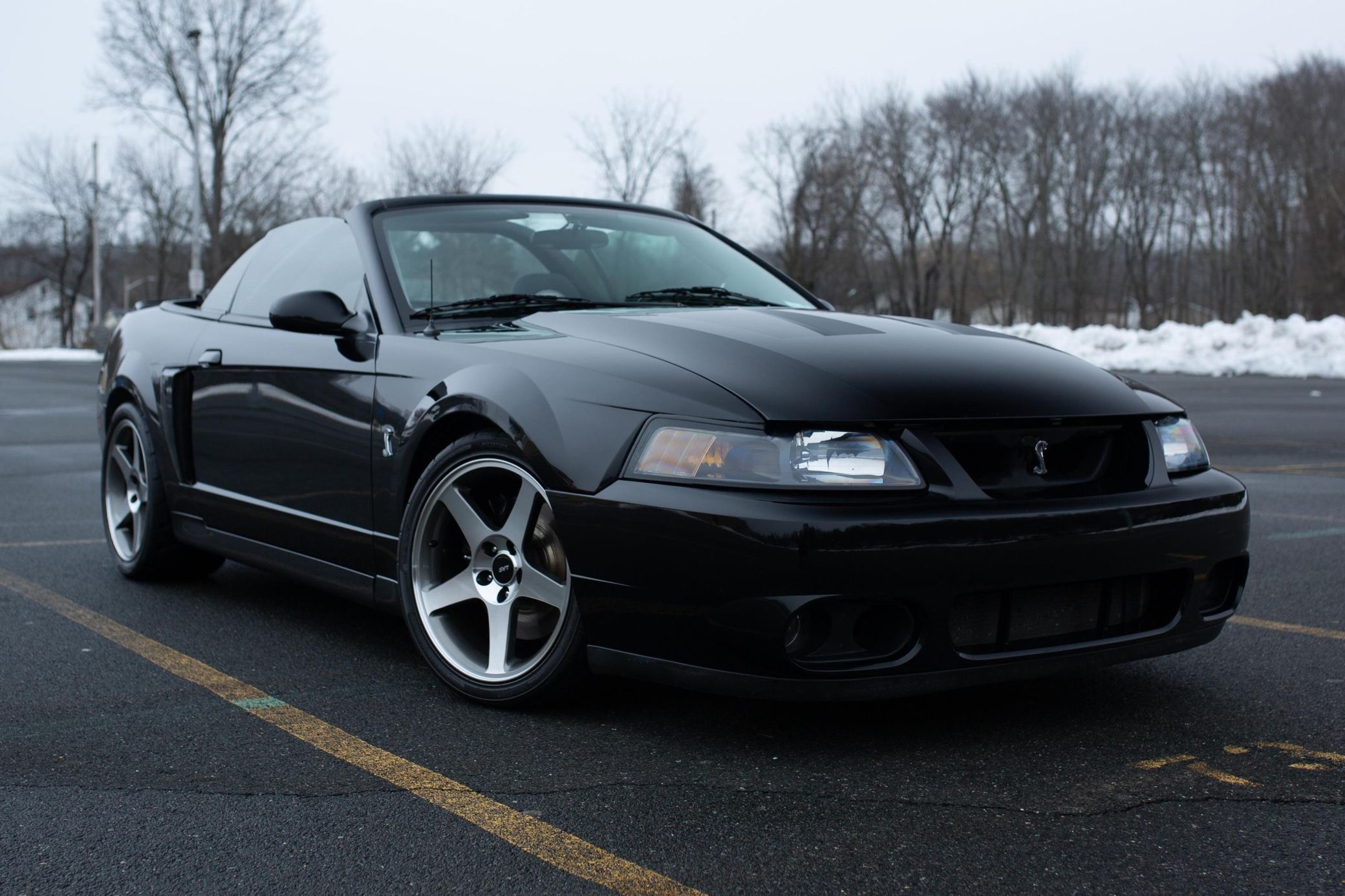 2003 Ford Mustang SVT Cobra Convertible