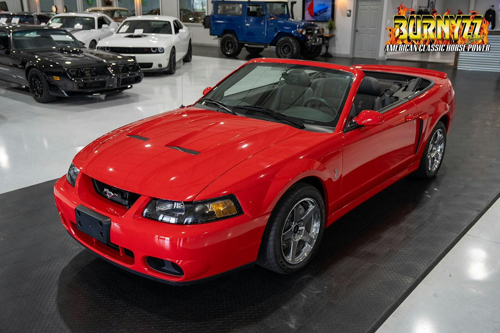 2004 Ford Mustang SVT Cobra Convertible