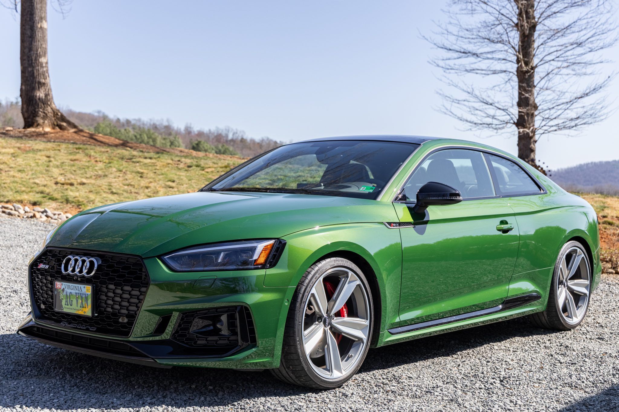 2019 Audi RS 5