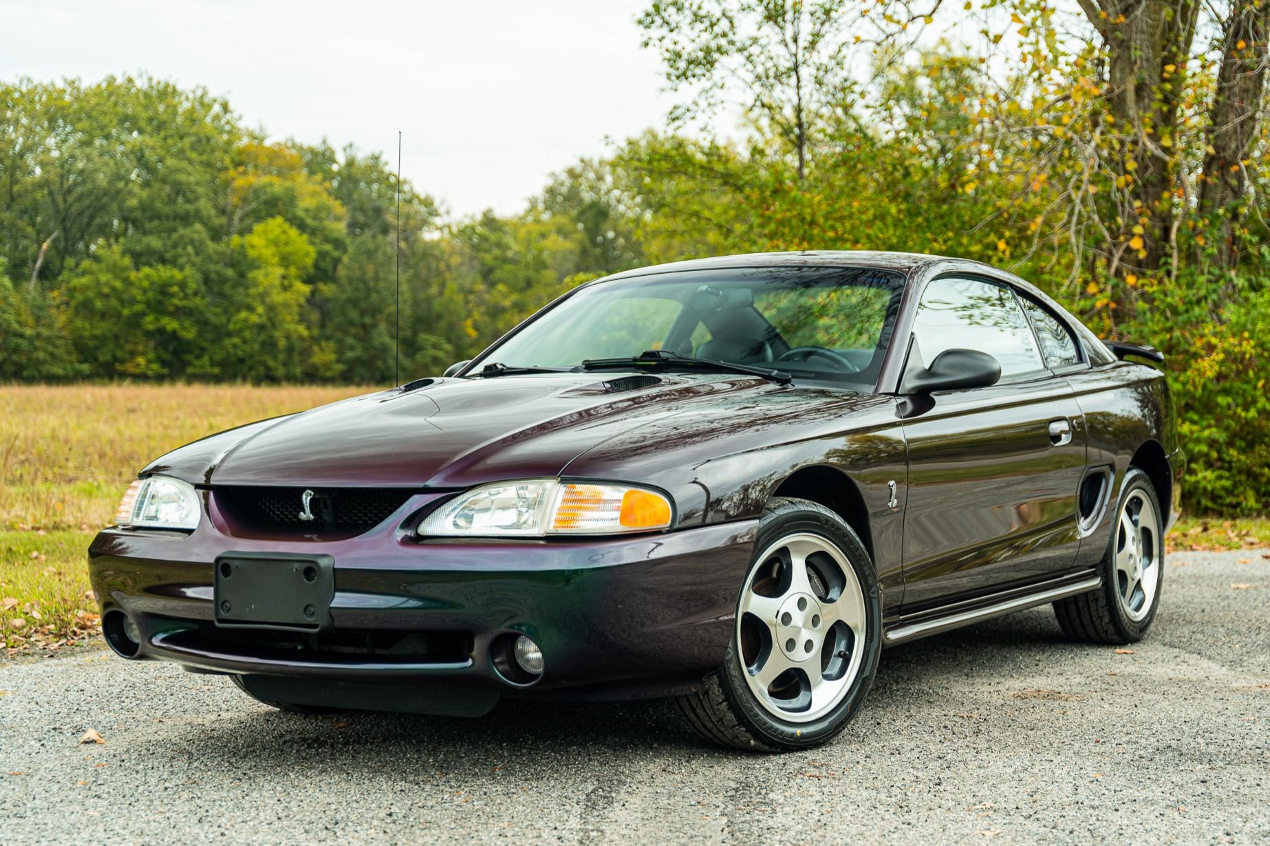 1996 Ford Mustang SVT Cobra